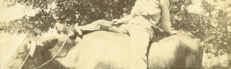 Boy on Cow, Carlton A. Wilmore papers